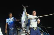 印尼韦塔岛捕获巨型马林鱼和狗牙金枪鱼，深海巨兽现身震撼人心
