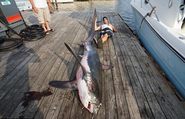 男子出海钓鱼，意外钓上来一只大白鲨，直接放到甲板上做了这件事